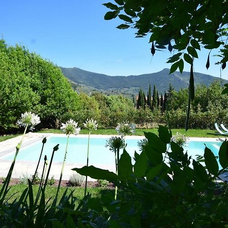 Al Palazzaccio Villa Calci Bagian luar foto