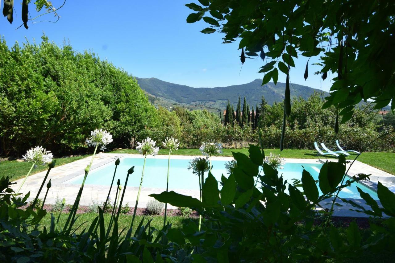 Al Palazzaccio Villa Calci Bagian luar foto